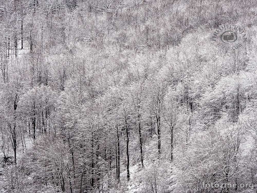 Snijeg na Medvednici 01.12.2012