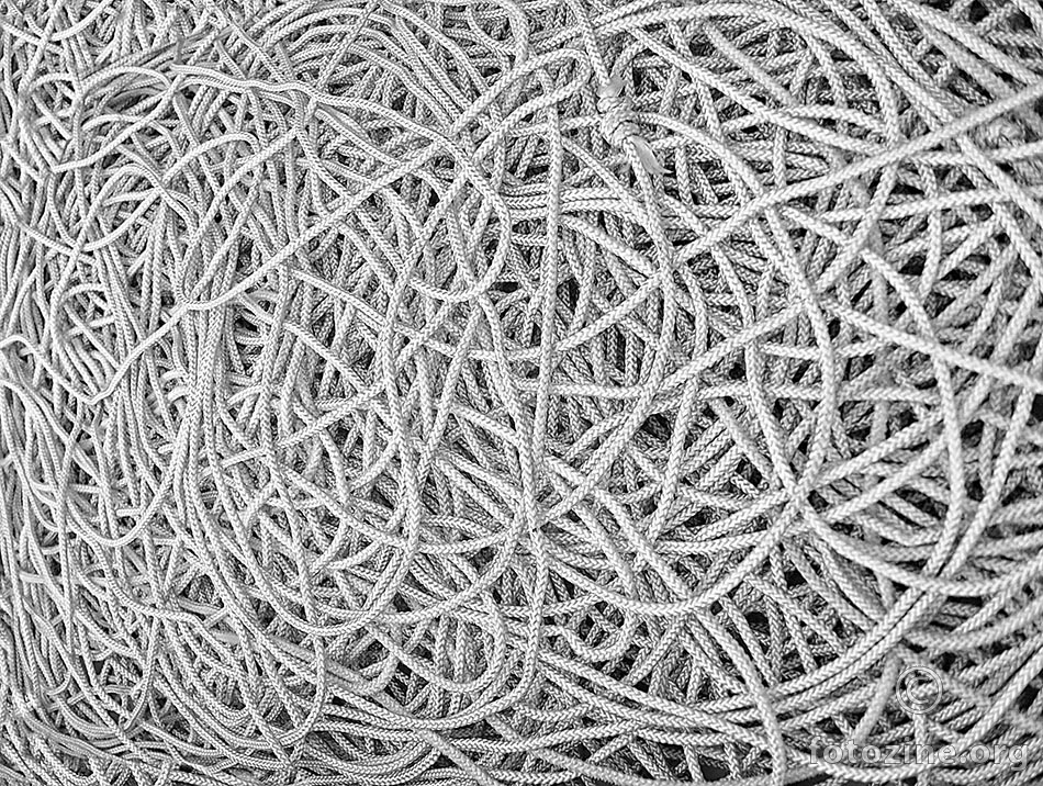 Gordian Knot