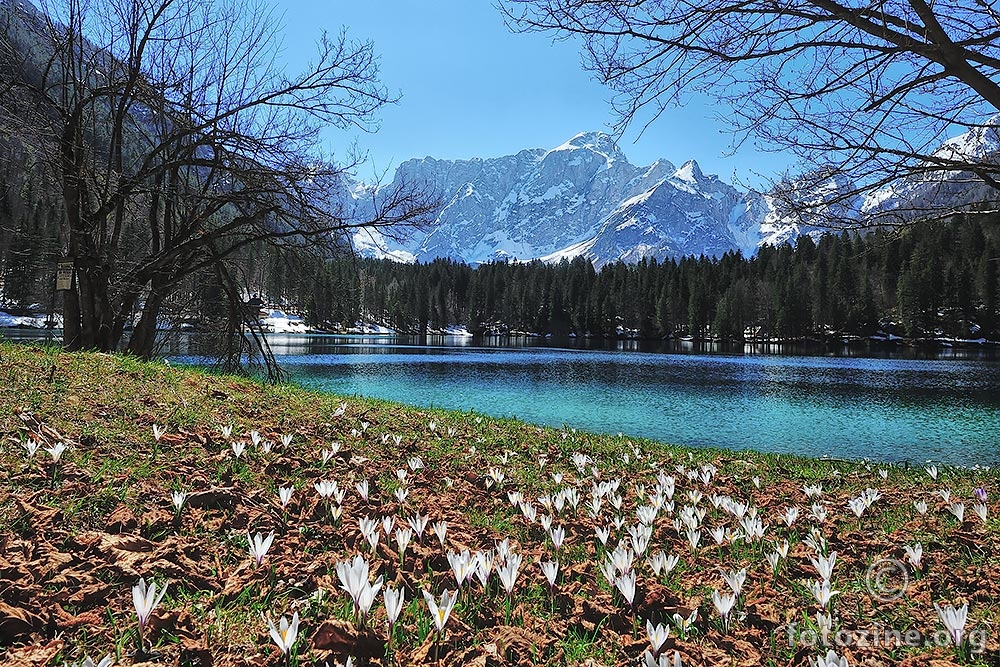 Lago di Fusine