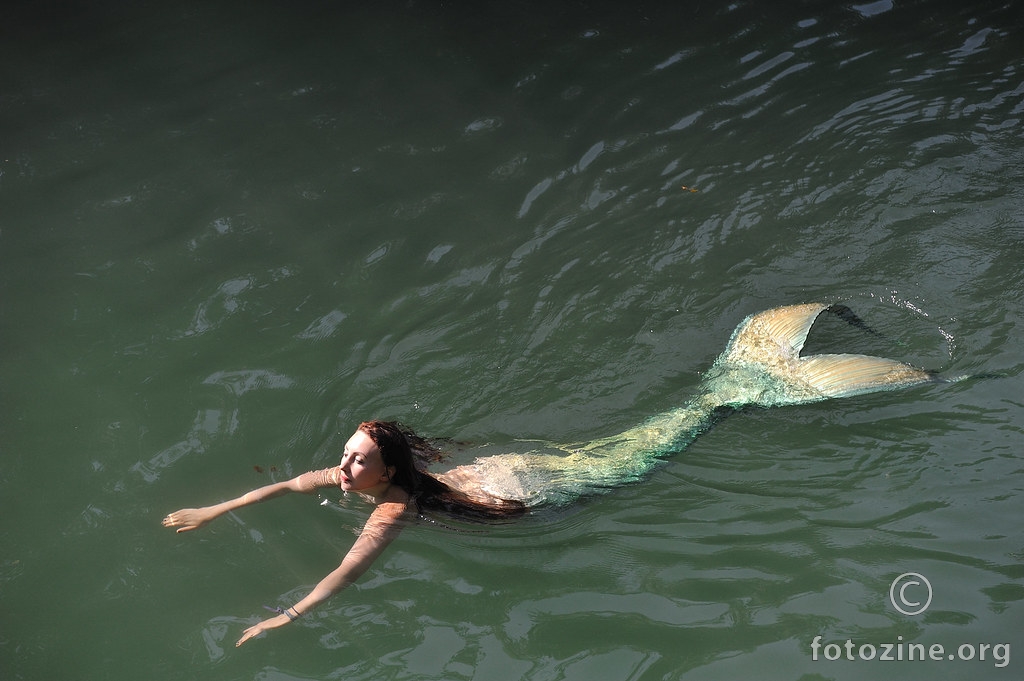 Mrežnička sirena
