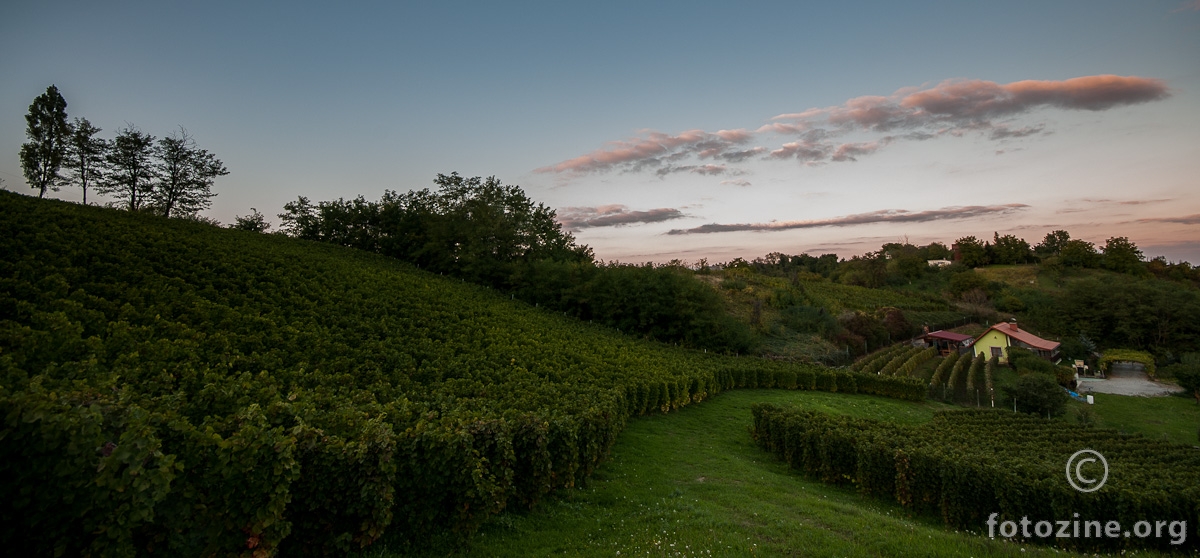 Požeški vinogradi