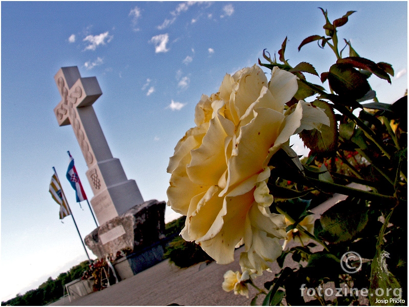 Vukovar križ