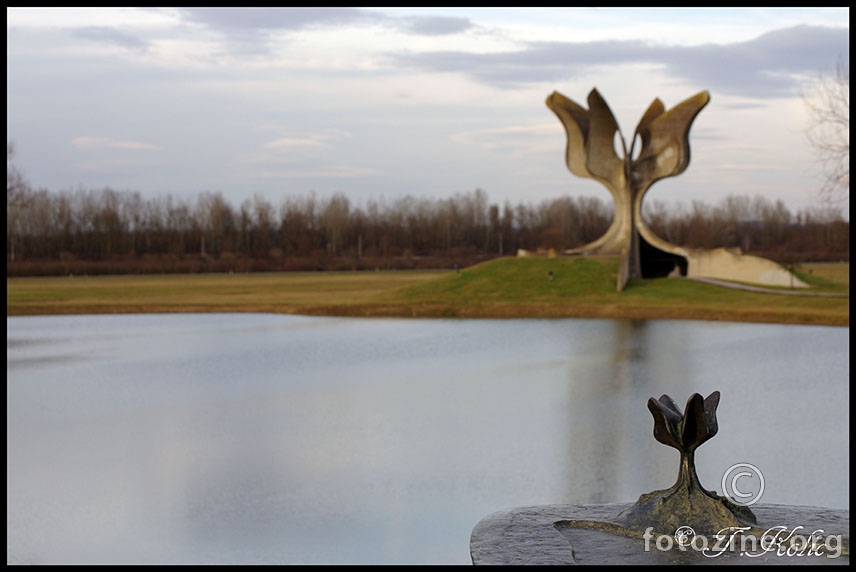 Jasenovac 4