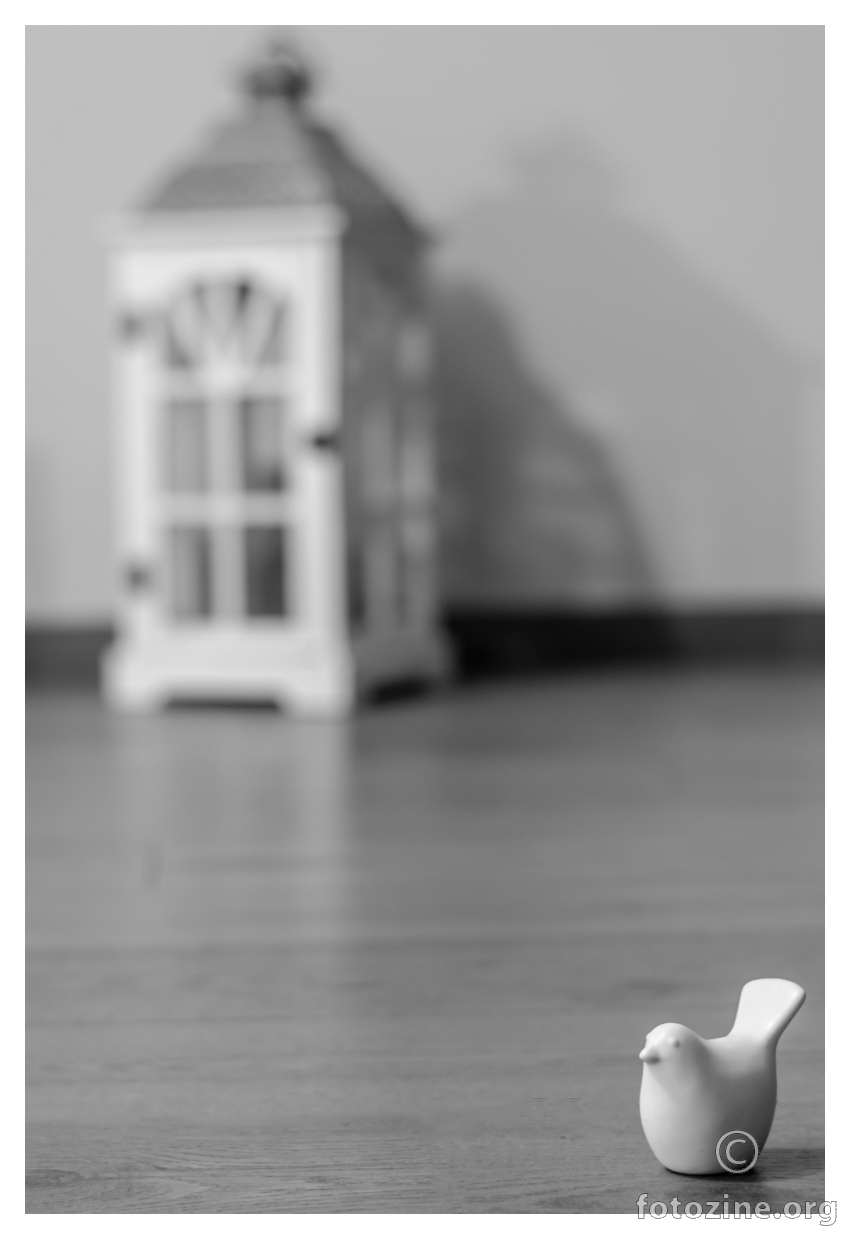 freedom..b&w..