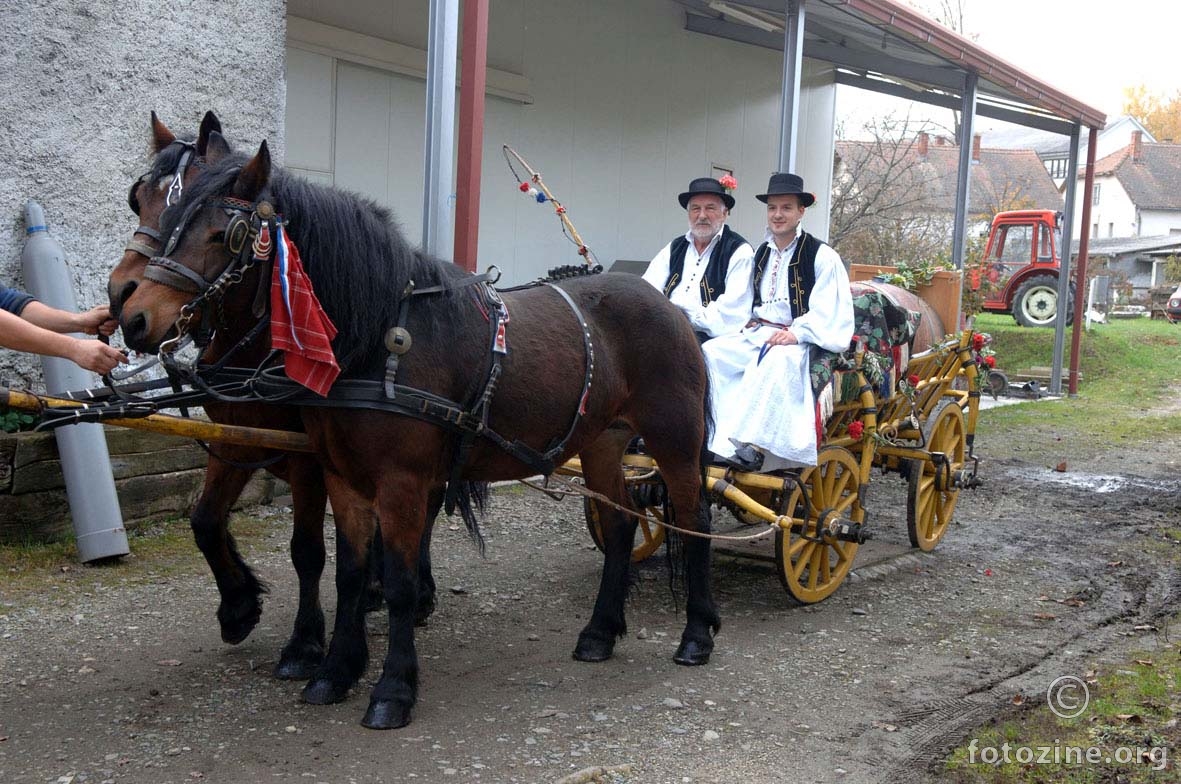 Martinje 2014. - Kutjevo