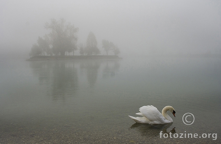 -swanlike lake-