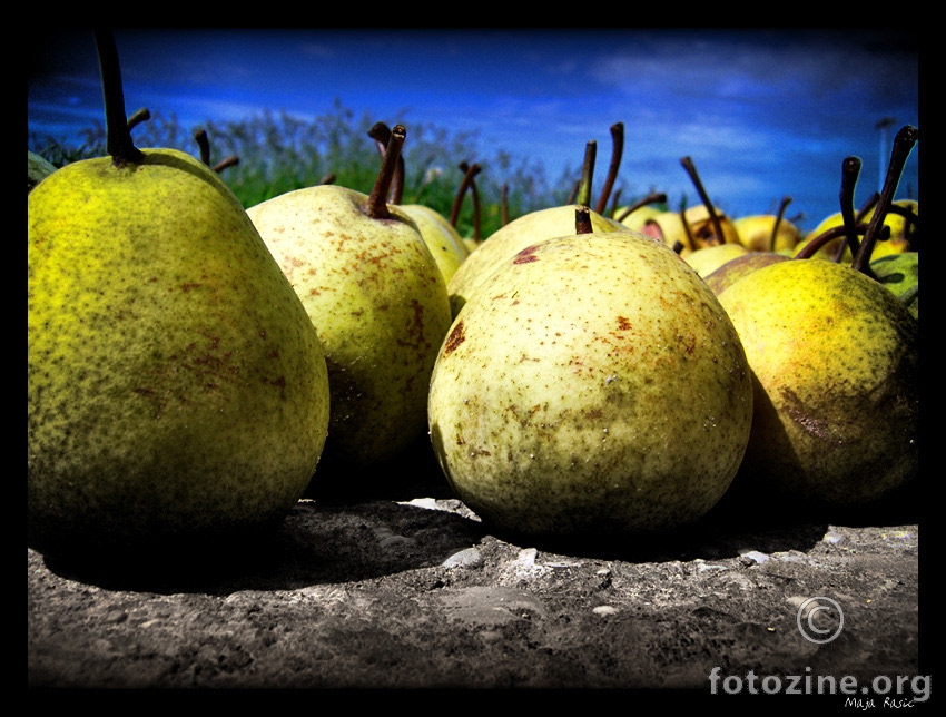 Army Of Pears