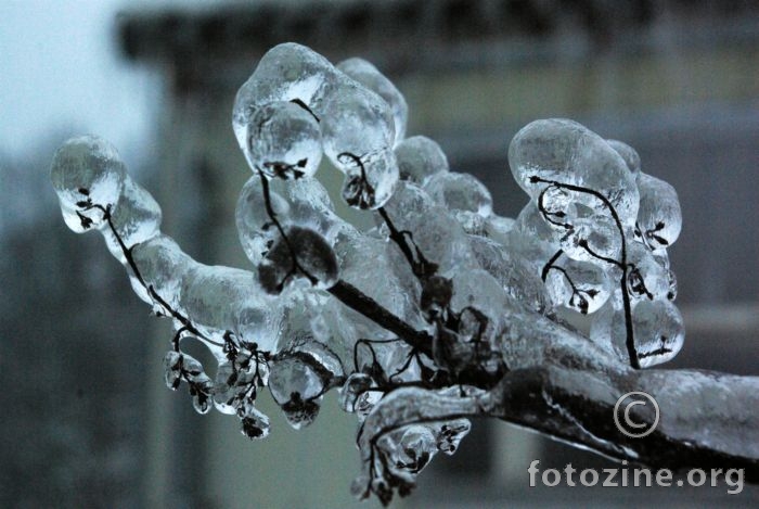 Ledena skulptura