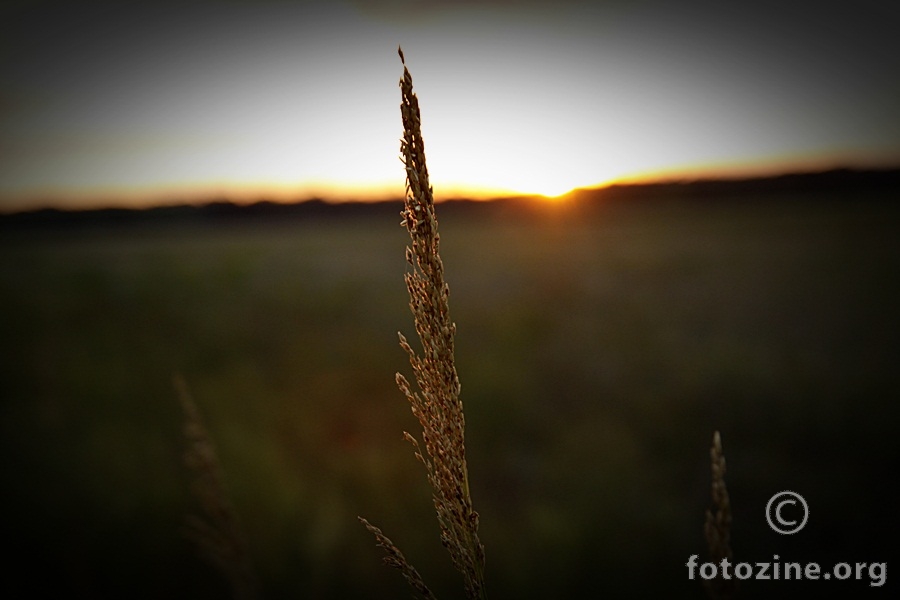 Sunce u zalasku