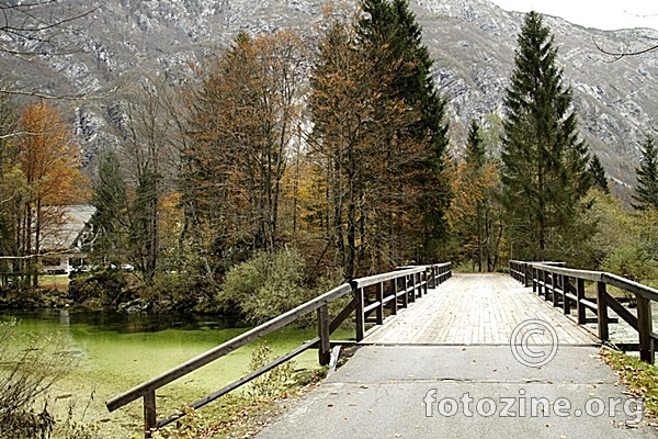Most u boji jeseni