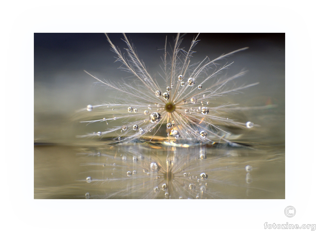 Diamonds Are Forever...