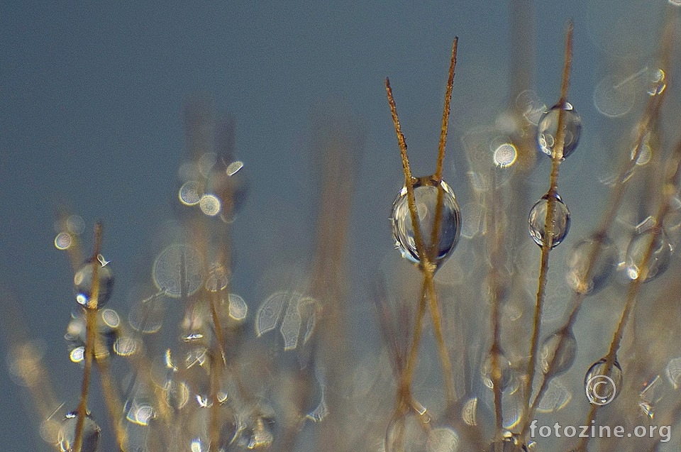 the world of droplets