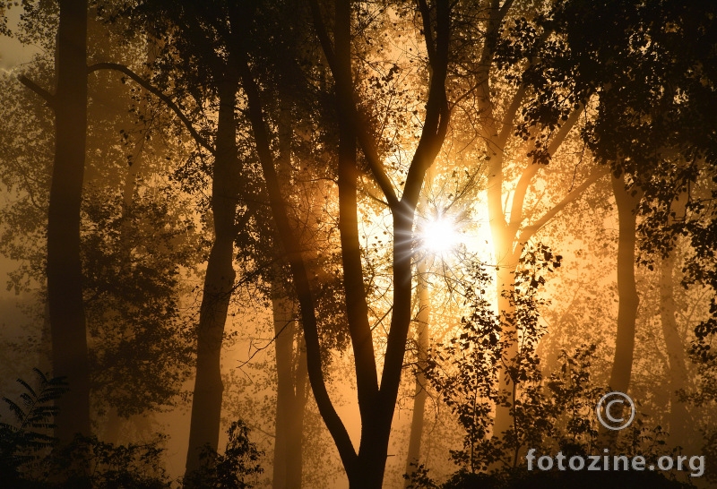 čarobno jutro ♥