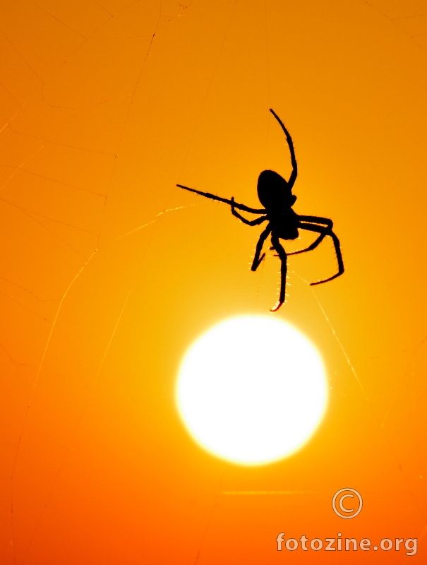dodirni sunce ...