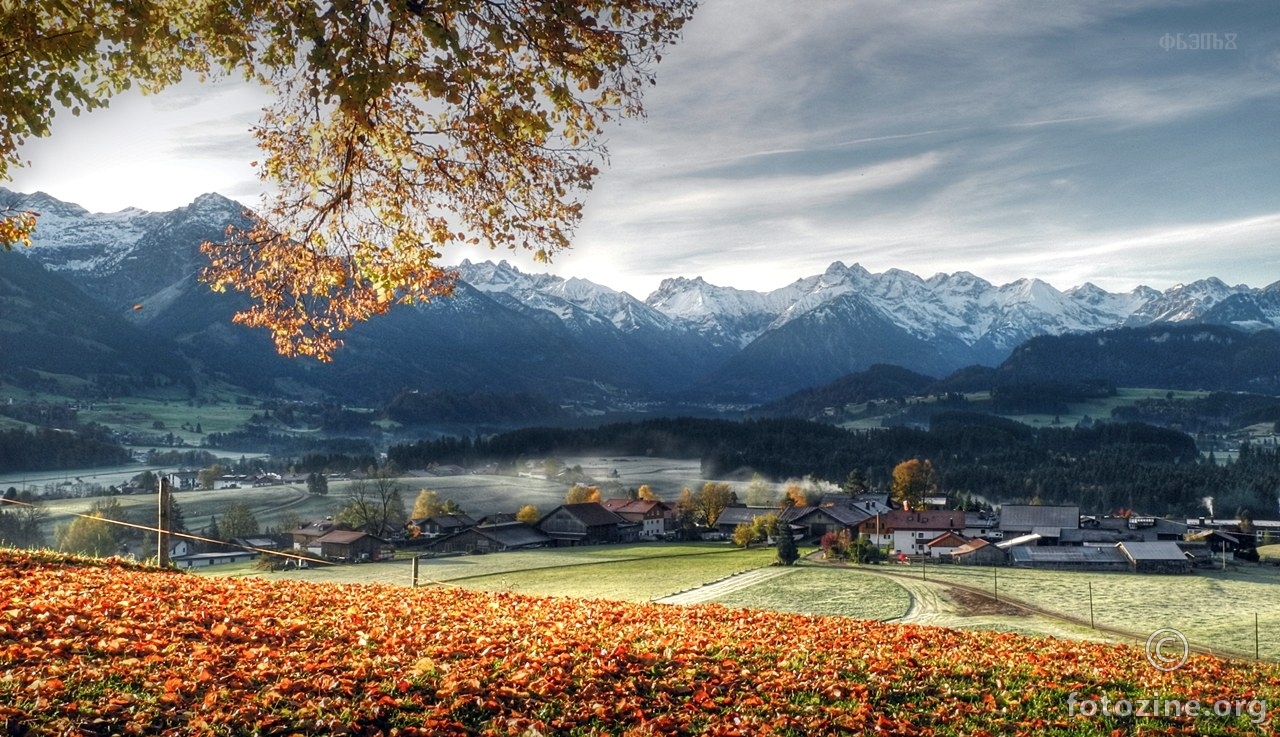 jesenska