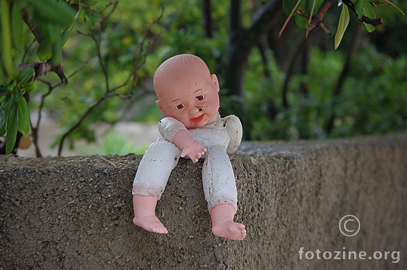 foto br. 645376