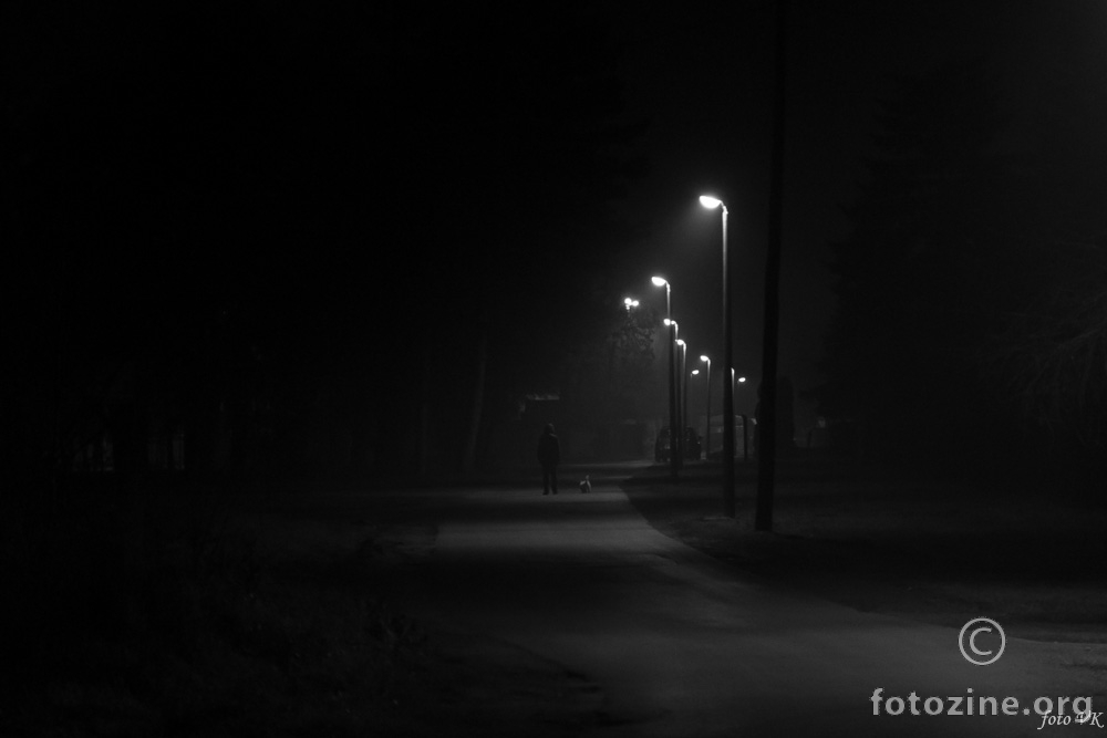 Noćni šetači