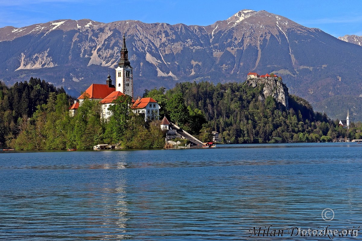 Bled