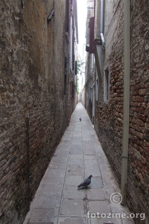 Calle di Venezia