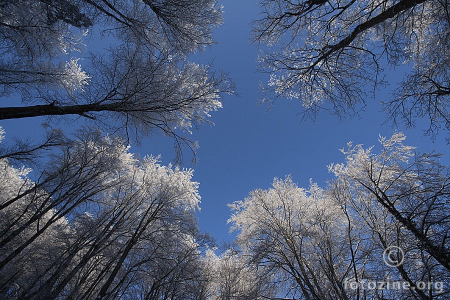Plavo nebo, bijeli snijeg
