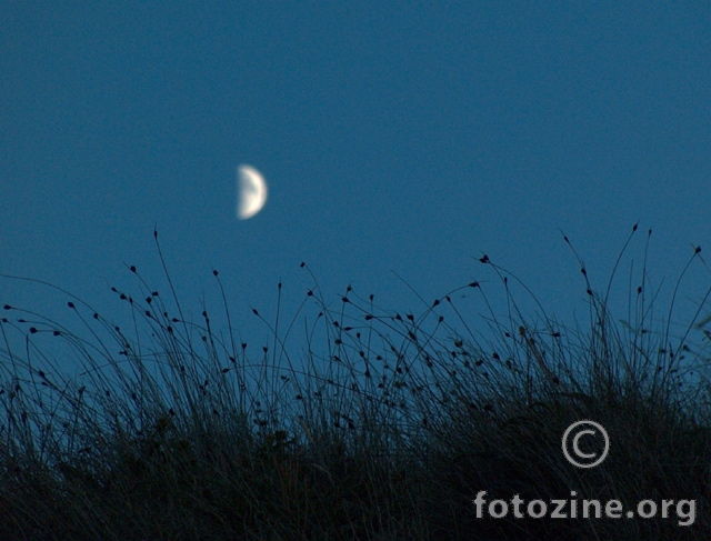 Luna Sja