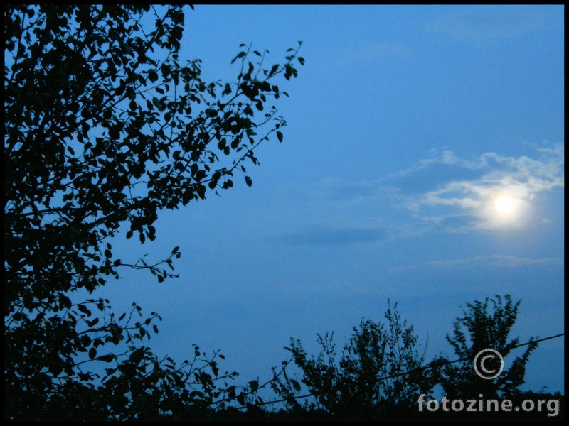 Noćna idila