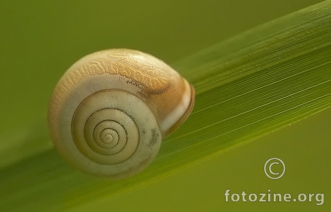 Spirala na dijagonali