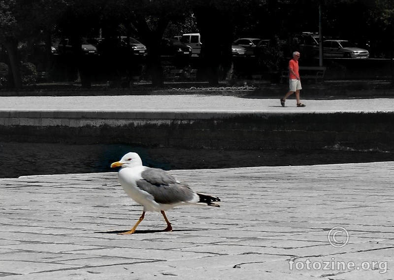 2 šetača