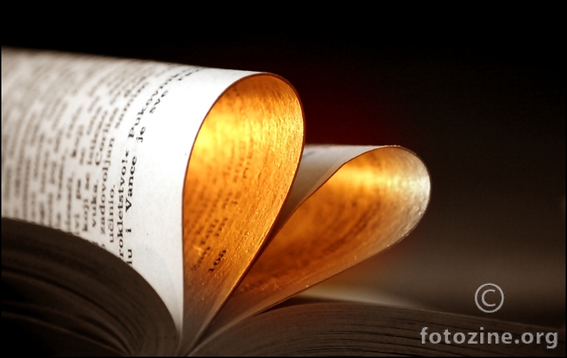 Chicklit literatura