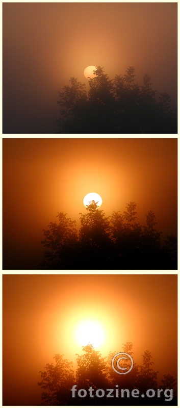 Rađanje Sunca u maglovito jutro