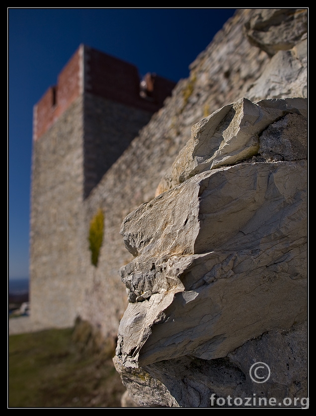 domovina