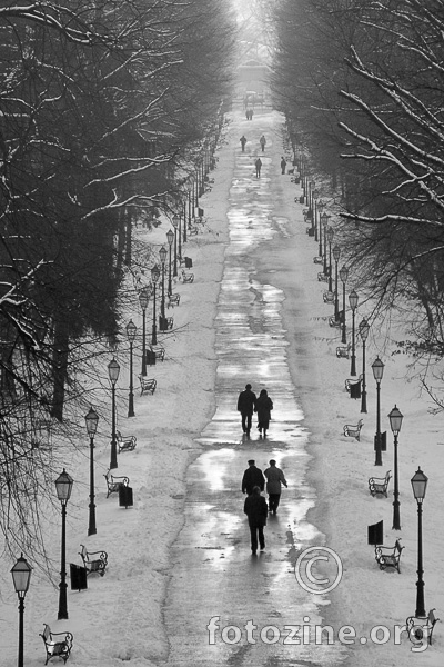 Maksimir