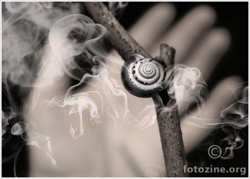 smoke&snail