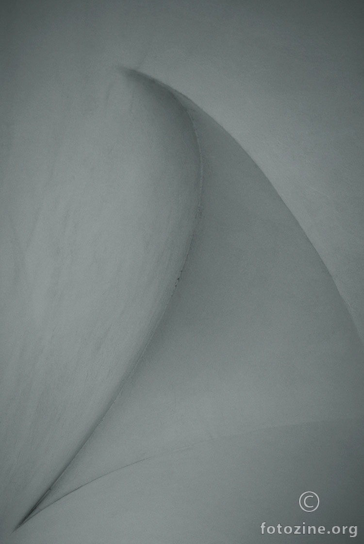 dancing with the walls