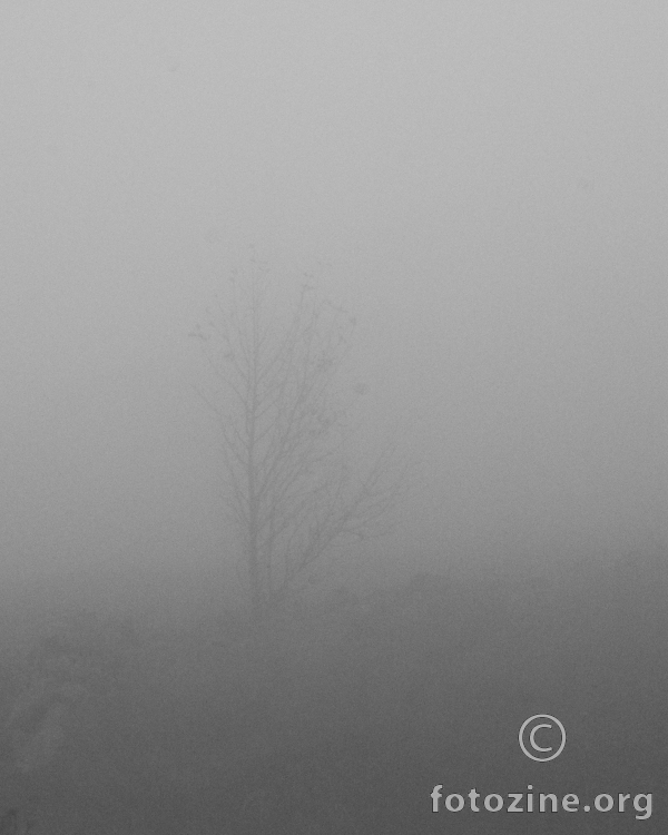 alone