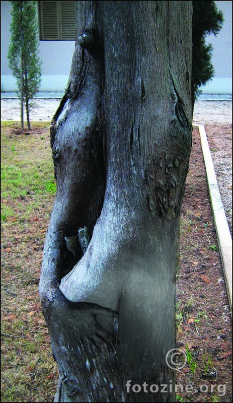 ljubavnici