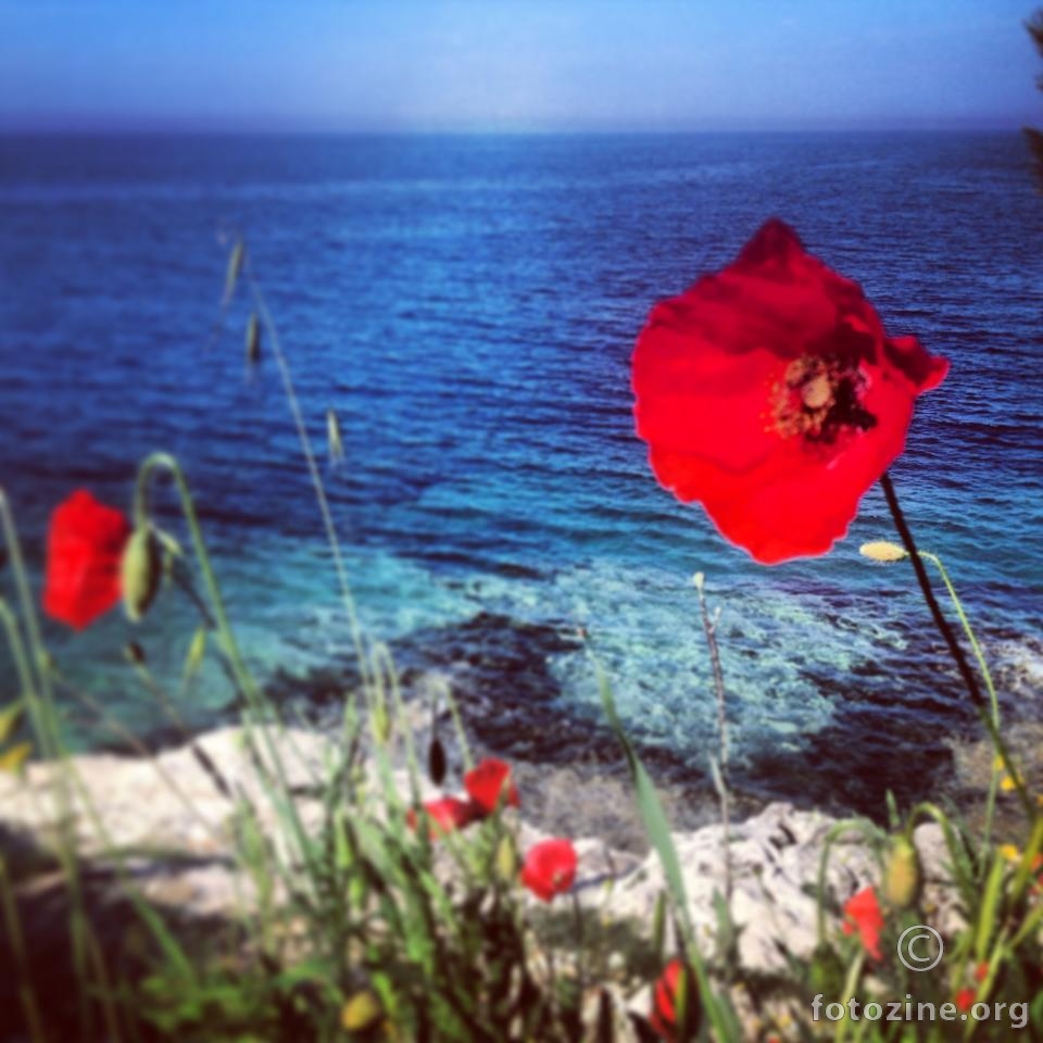 The smell of the sea