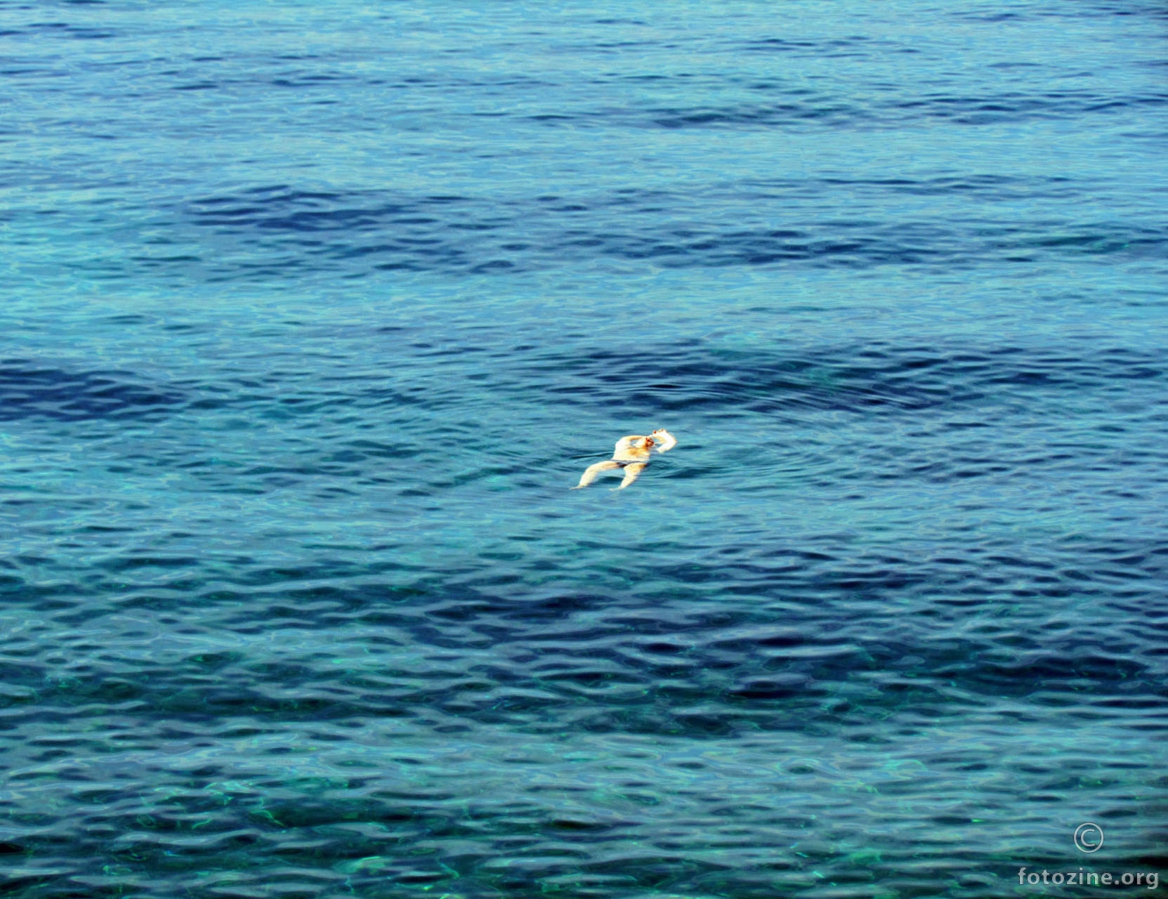 Ča je život vengo fantažija