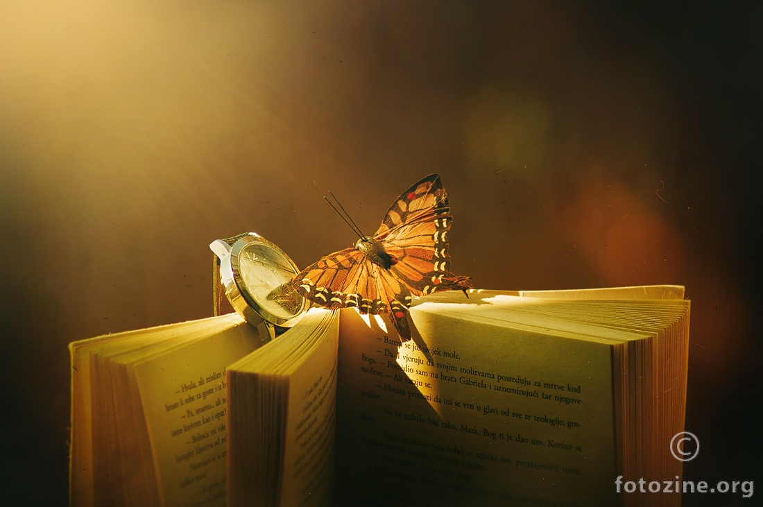 Words in time