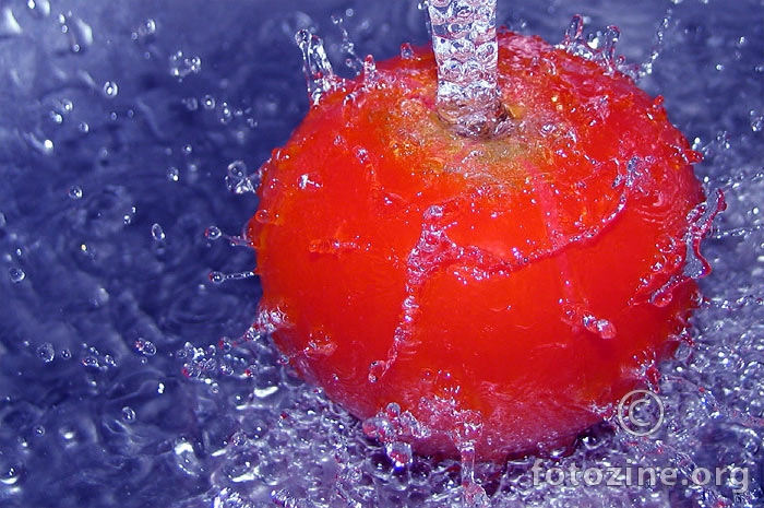 splash tomato