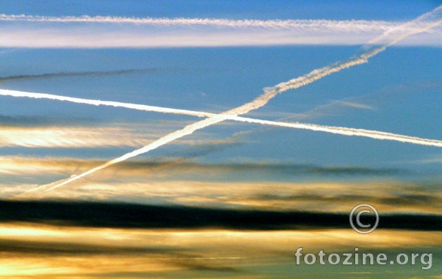 x lines