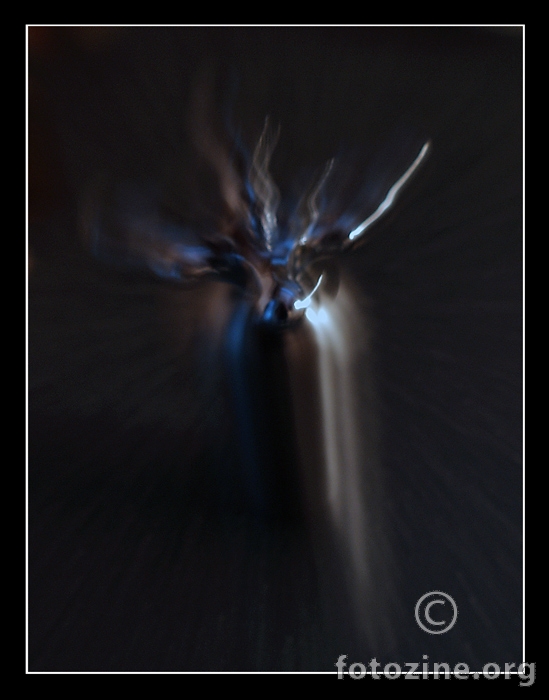 Zoom