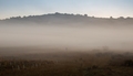 foggy boiler