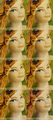 iso 200-25600