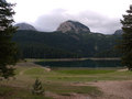 crni durmitor