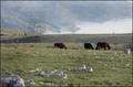 Pogled prema S…
