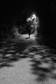 Kasna nocna - …