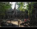 Ta Prohm