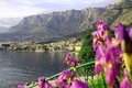 makarska