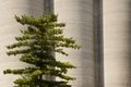 Silos